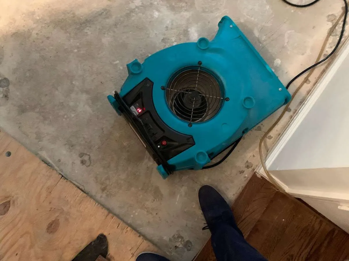 Air mover drying subfloor during Leak Detection & Repair in Hammonton